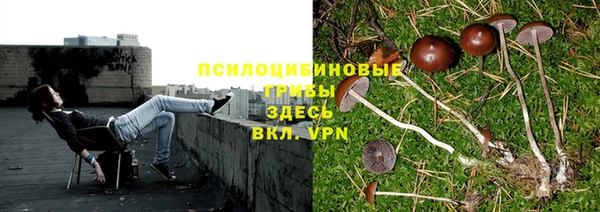 гидропоника Баксан